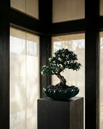 Bloom Rray Schale groß - Dark green - 101 Copenhagen