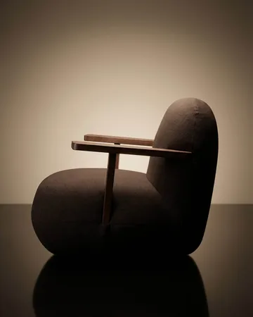 Toe chair Sessel mit Armlehnen - Classic brown oak-dark brown - 101 Copenhagen
