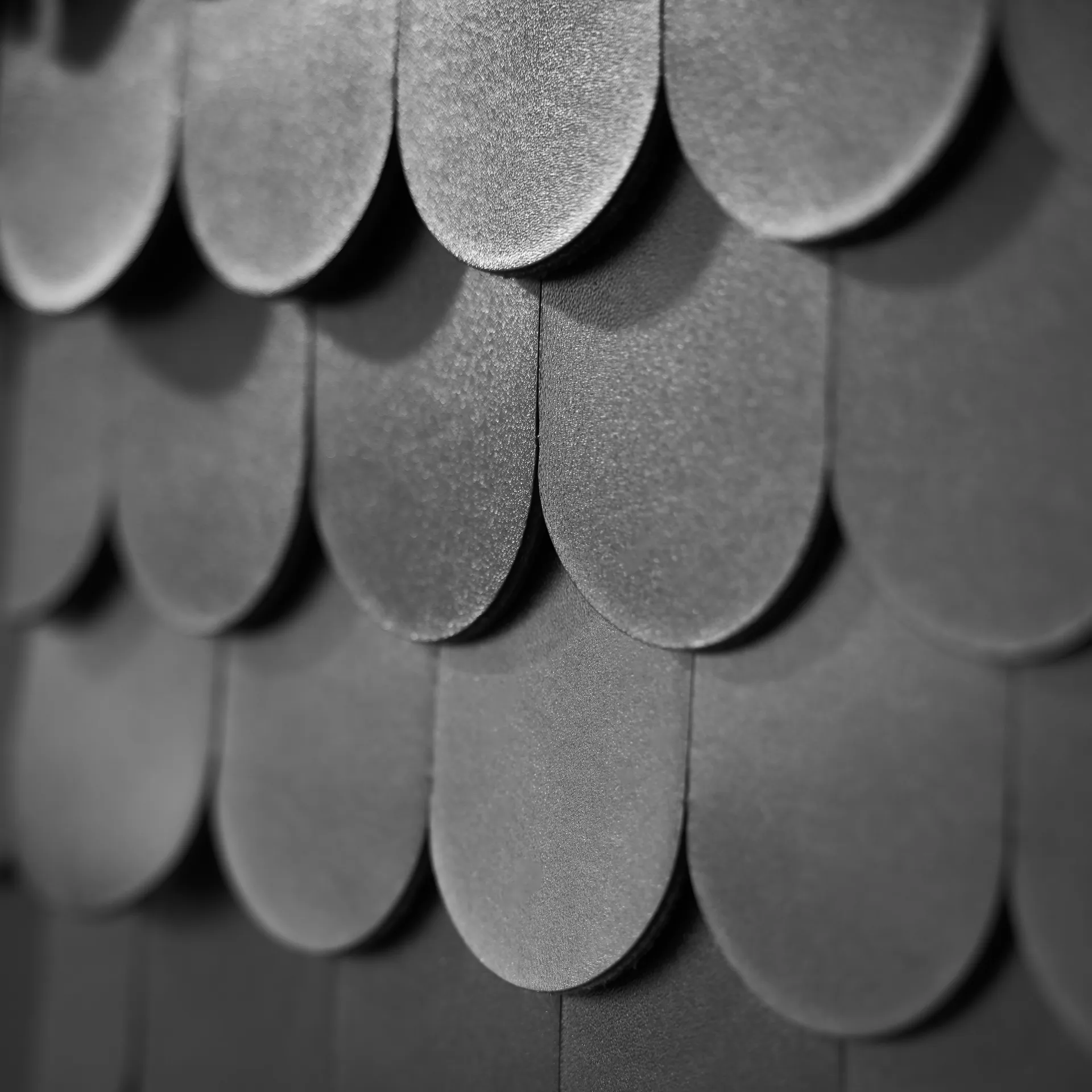 Collect Schrank 2012, Schwarz A2