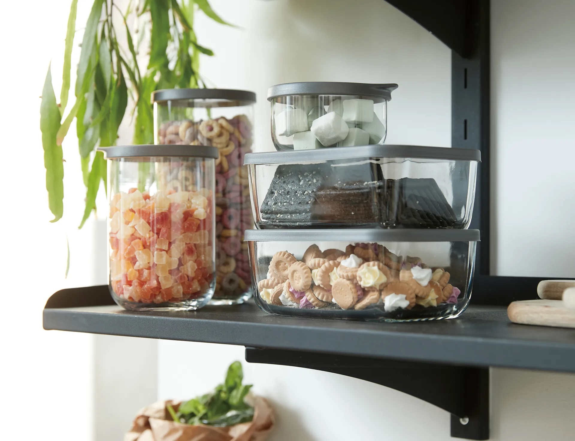 Café Verwahrungsdose mit Deckel 1,4 Liter, Klar Aida