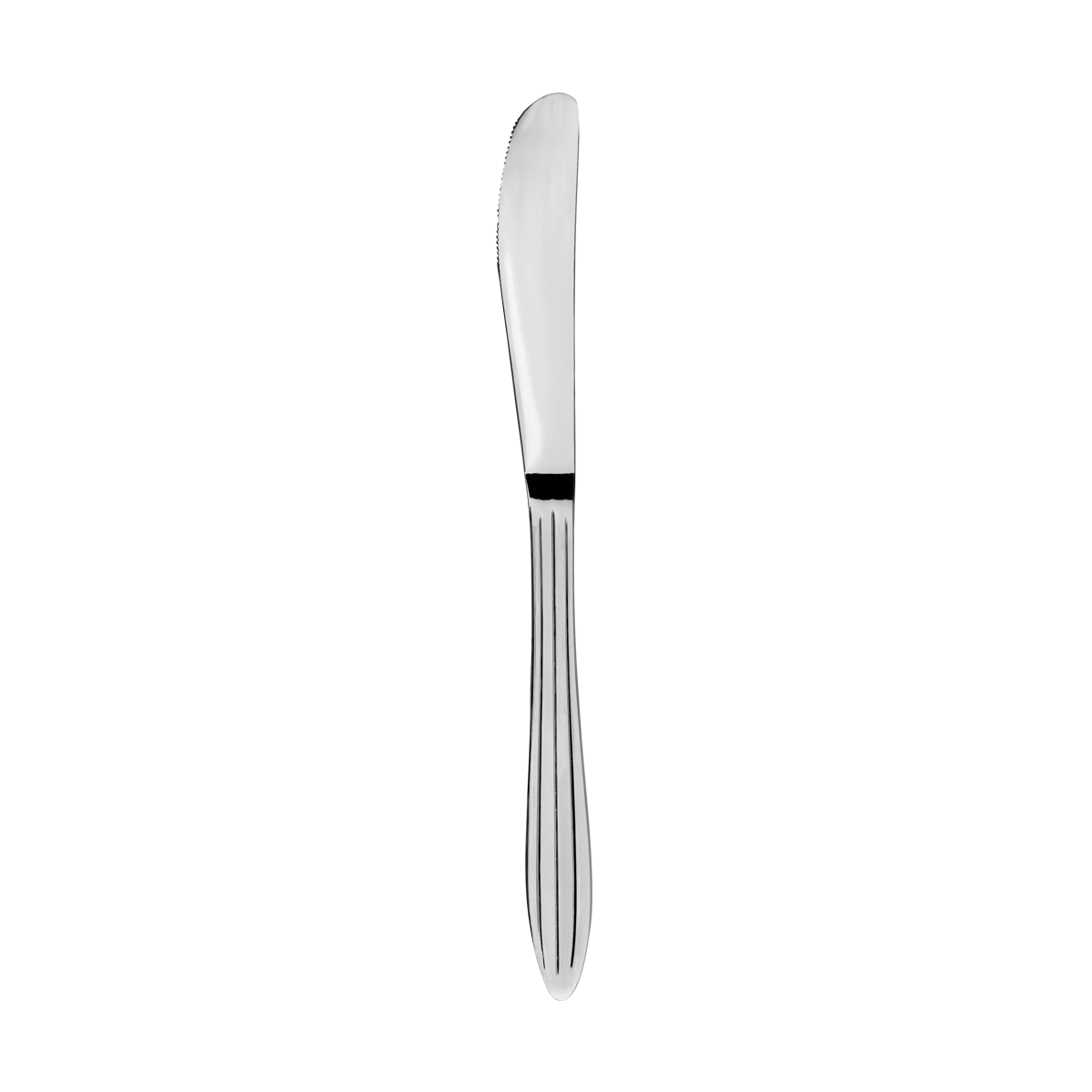 Aida Gastro Messer Edelstahl
