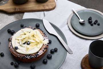 Raw Kuchenmesser - Stahl matt - Aida