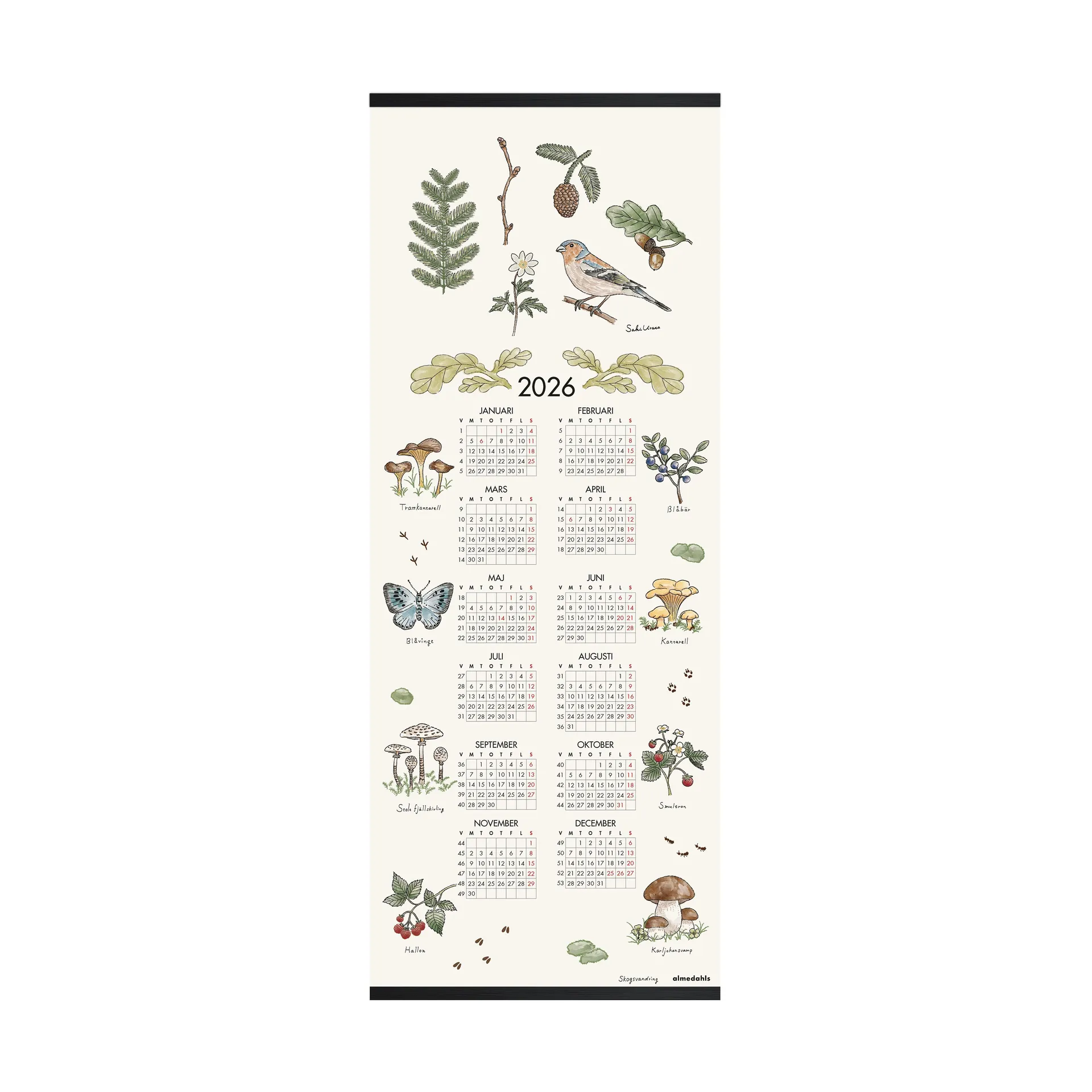 Waldspaziergang Kalender 2026, 35×90 cm Almedahls