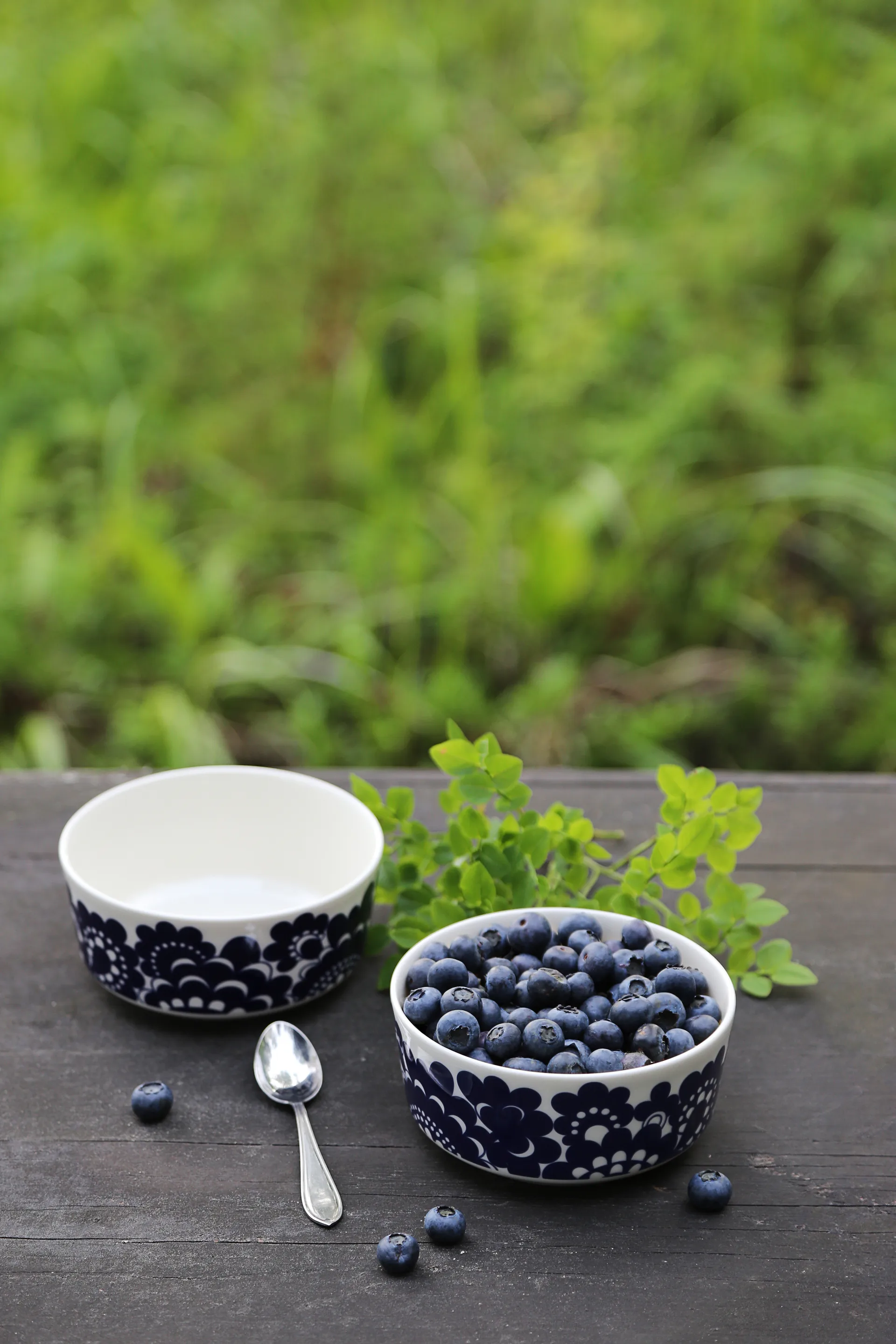 Esteri Tasse 30cl und Schale Ø13cm, Blau Arabia