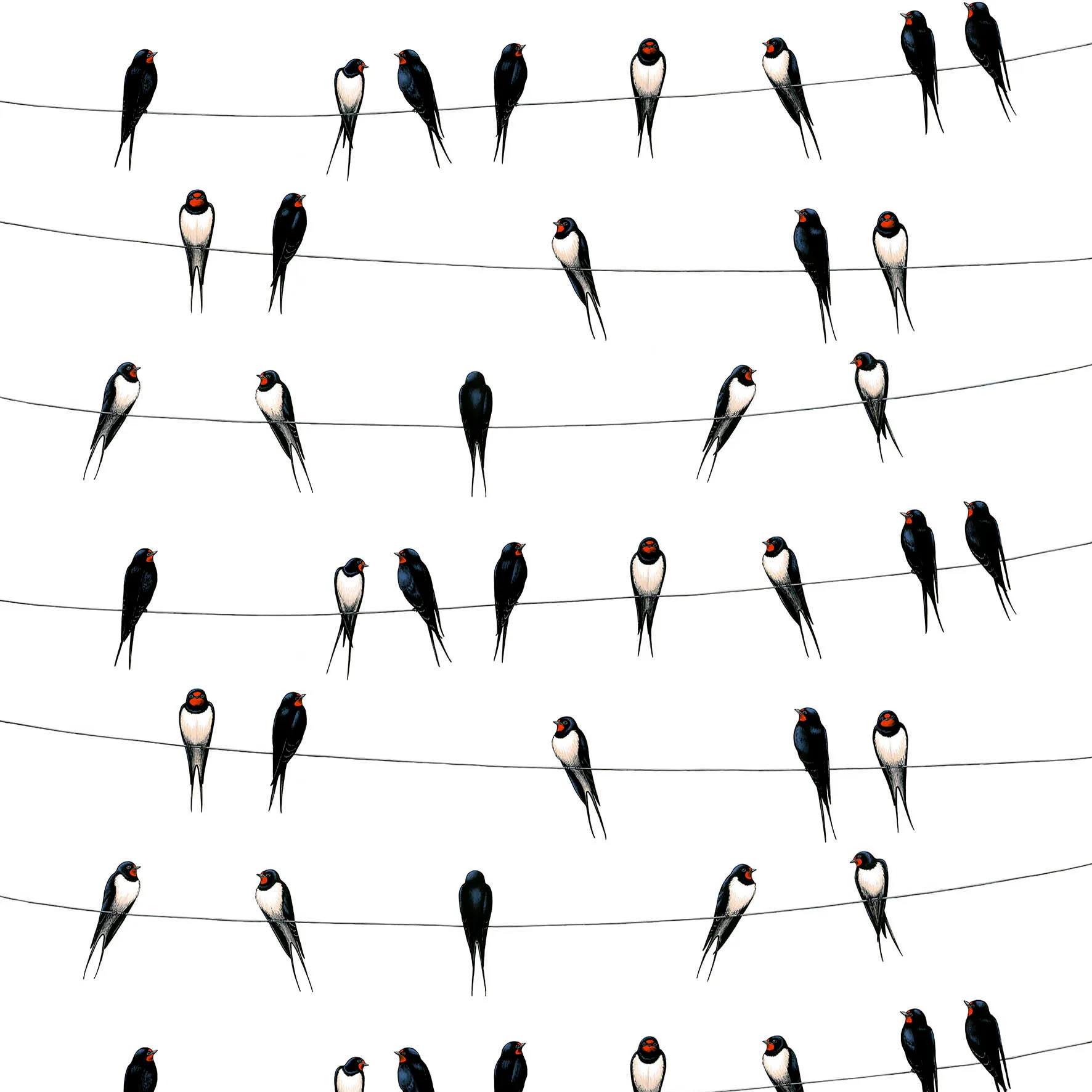 Ladusvalor Stoff, Weiß Arvidssons Textil