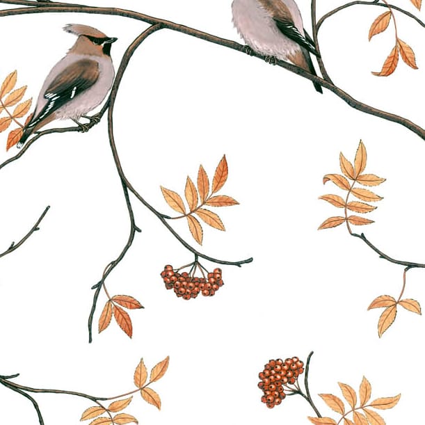 Sidensvansar Stoff, Weiß-beige Arvidssons Textil