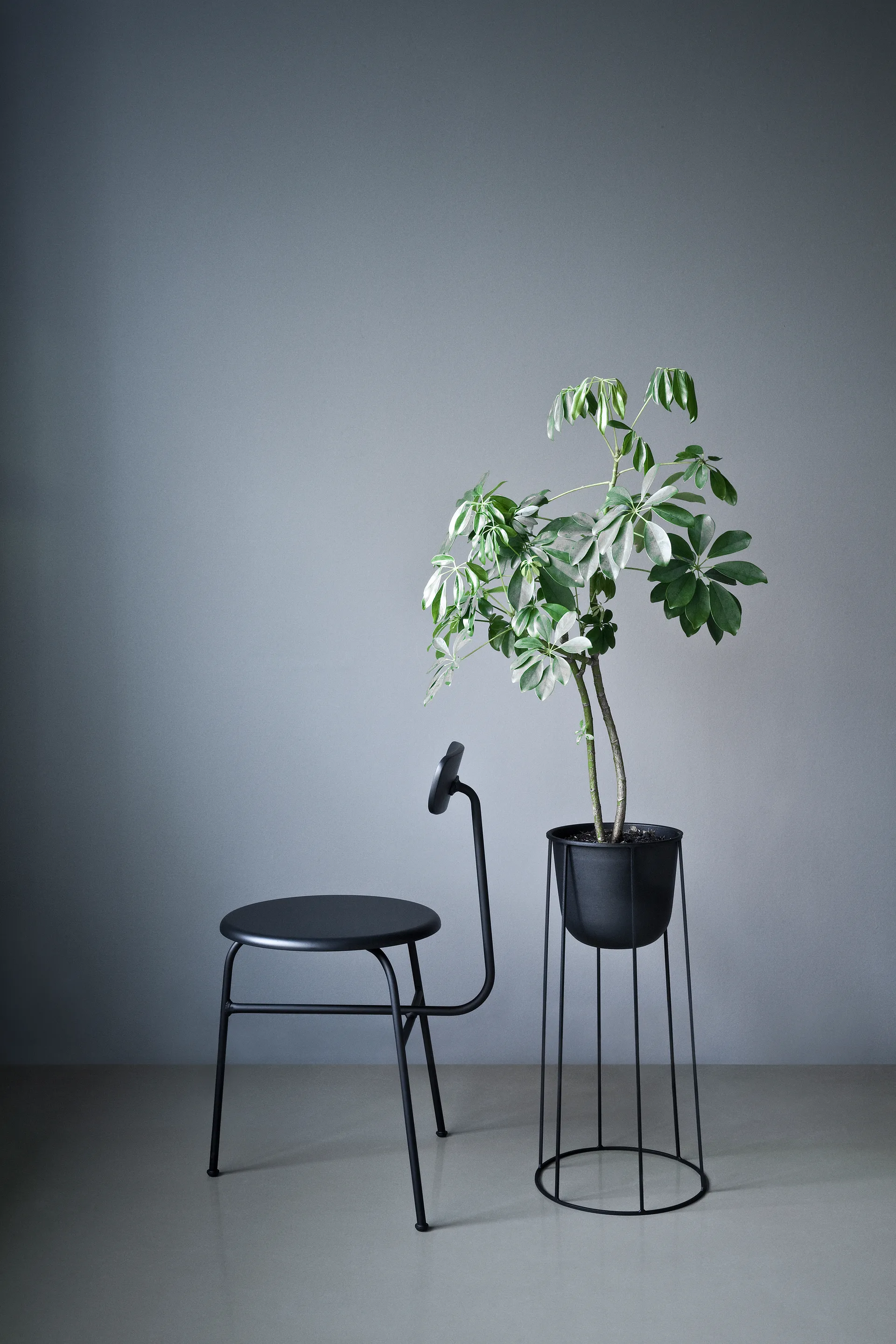 Afteroom Stuhl Ledersitz 4 Beine, Schwarz-schwarz Audo Copenhagen