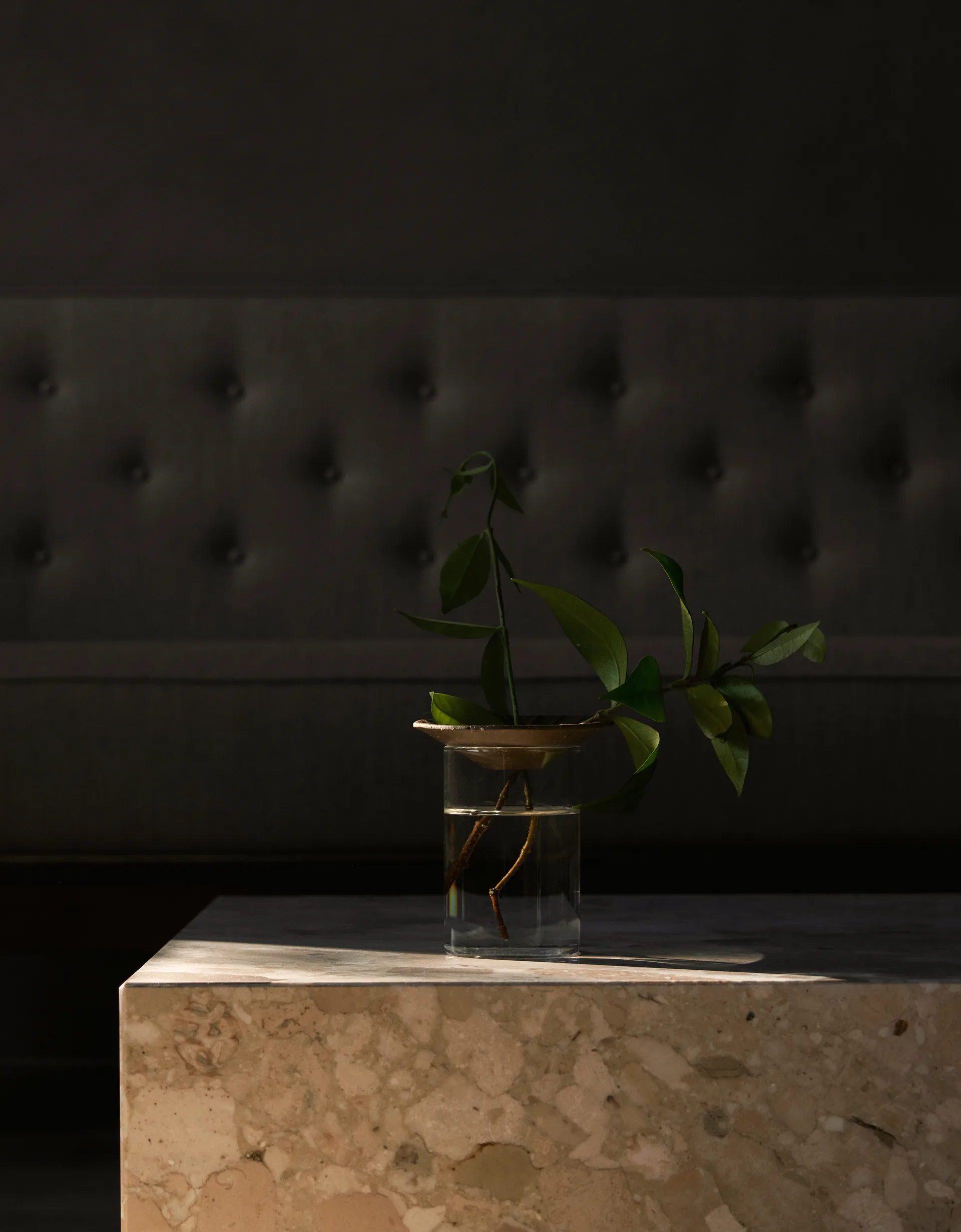 Cresco Propagation Vase 2 Teile, braun-klar Audo Copenhagen