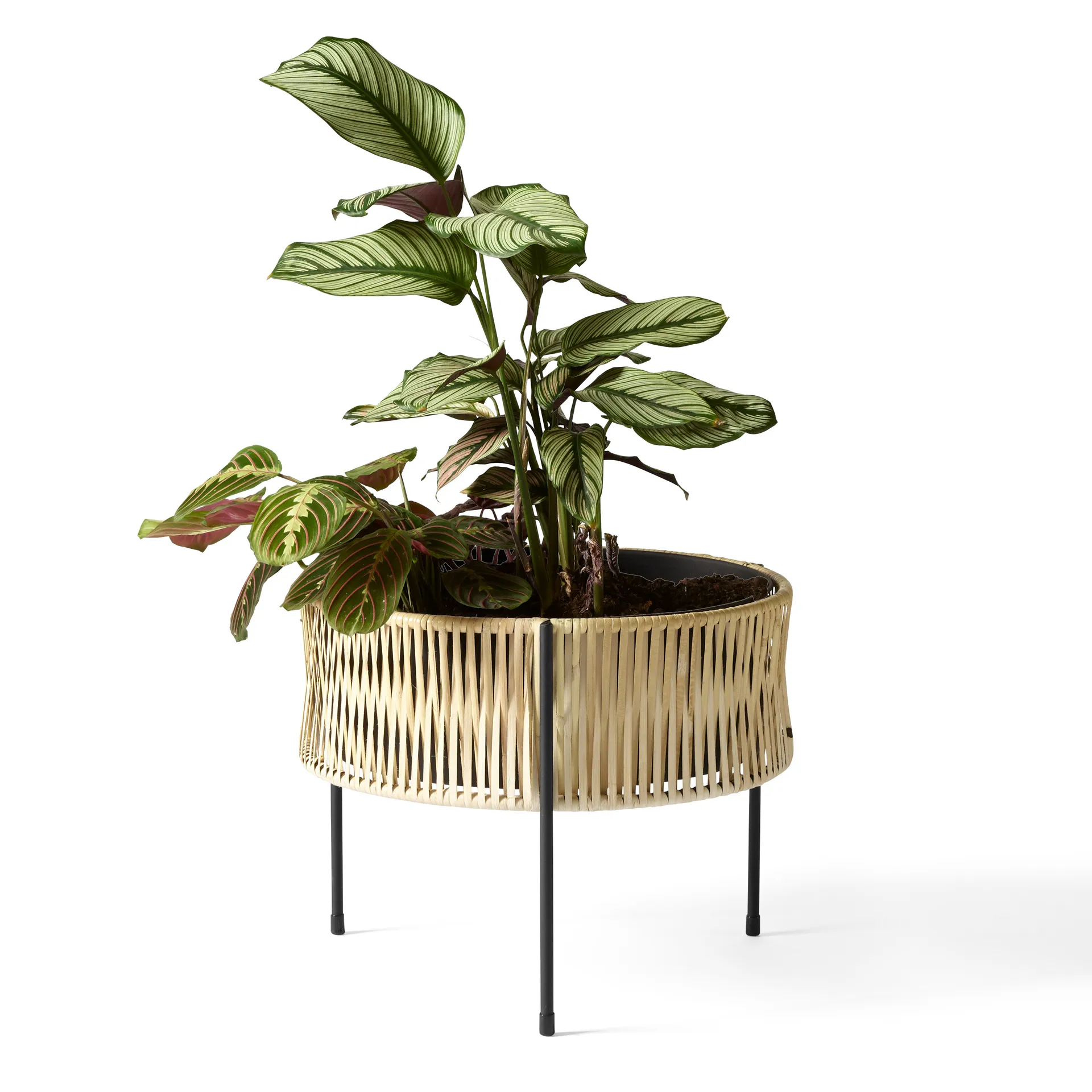 Umanoff planter Blumentopf Rattan-Stahl, h32,5 cm Ø41 cm Audo Copenhagen