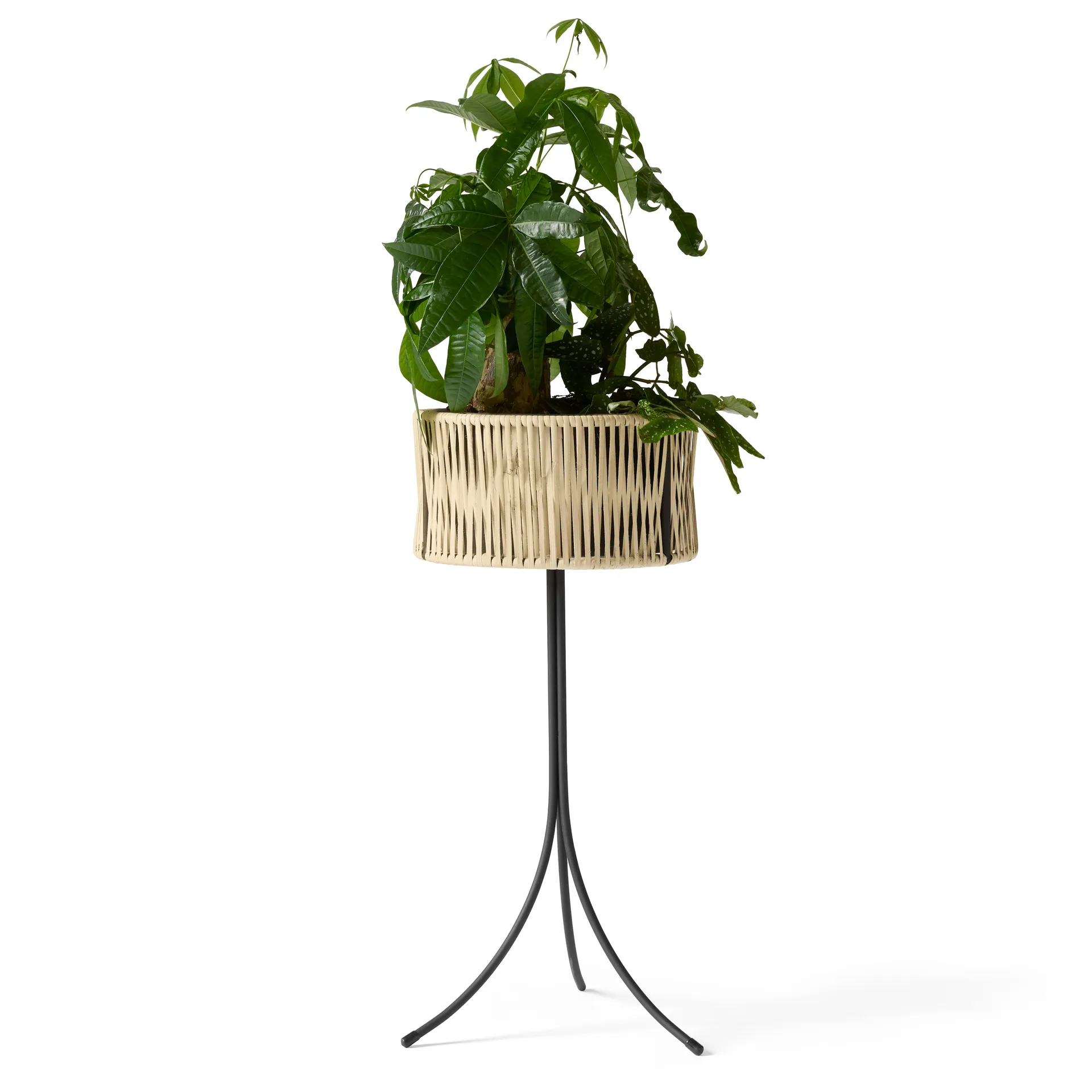Umanoff planter Blumentopf Rattan-Stahl, h69 cm Ø36,5 cm Audo Copenhagen