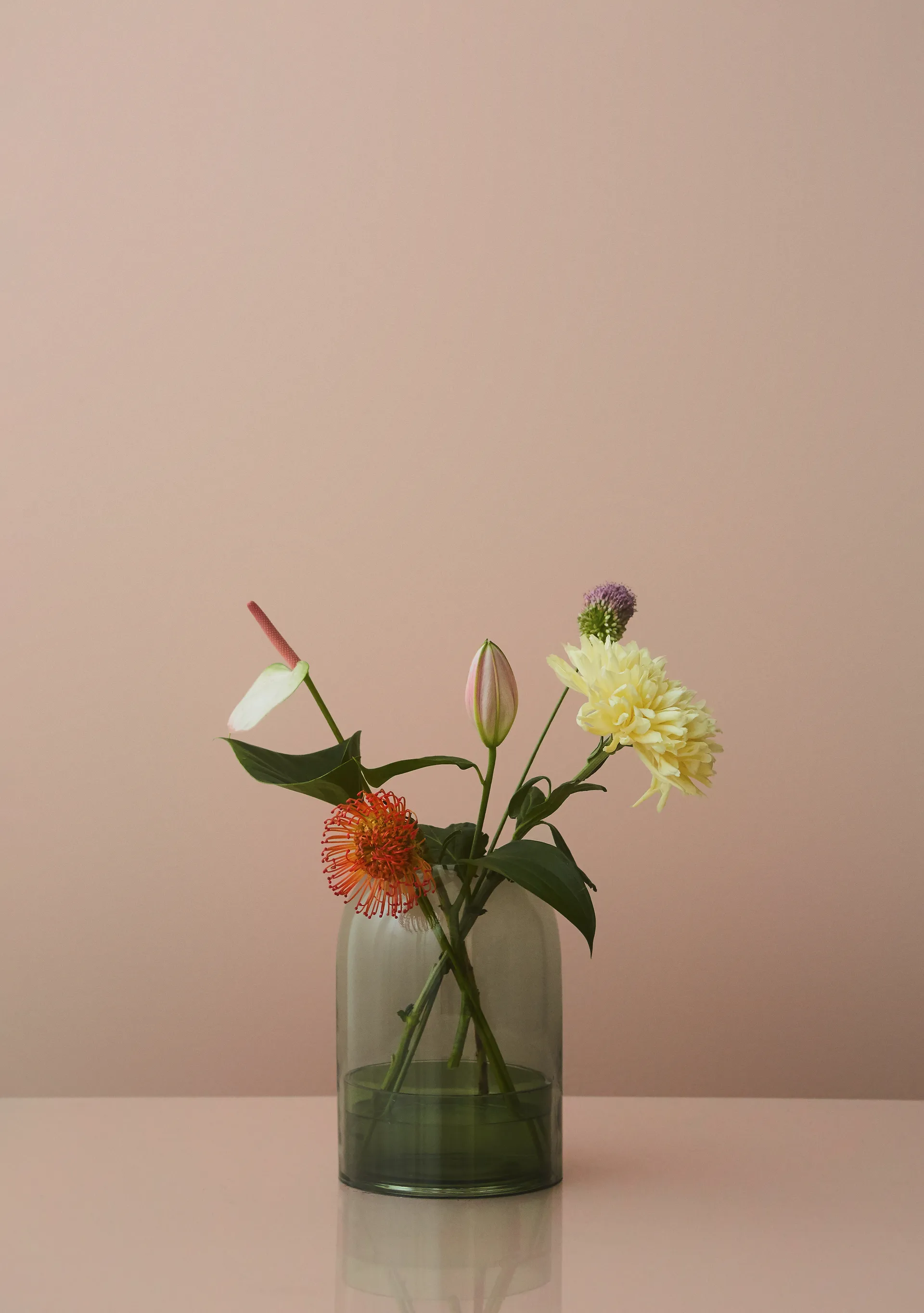 Tota Laterne, Grün AYTM