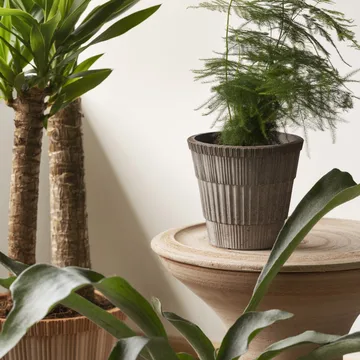 Atlas raw Topf mit Untersetzer - Grey, Ø16 cm - Bergs Potter