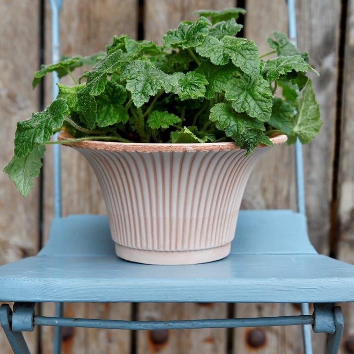 Daisy Blumentopf Ø30cm - Rosa - Bergs Potter