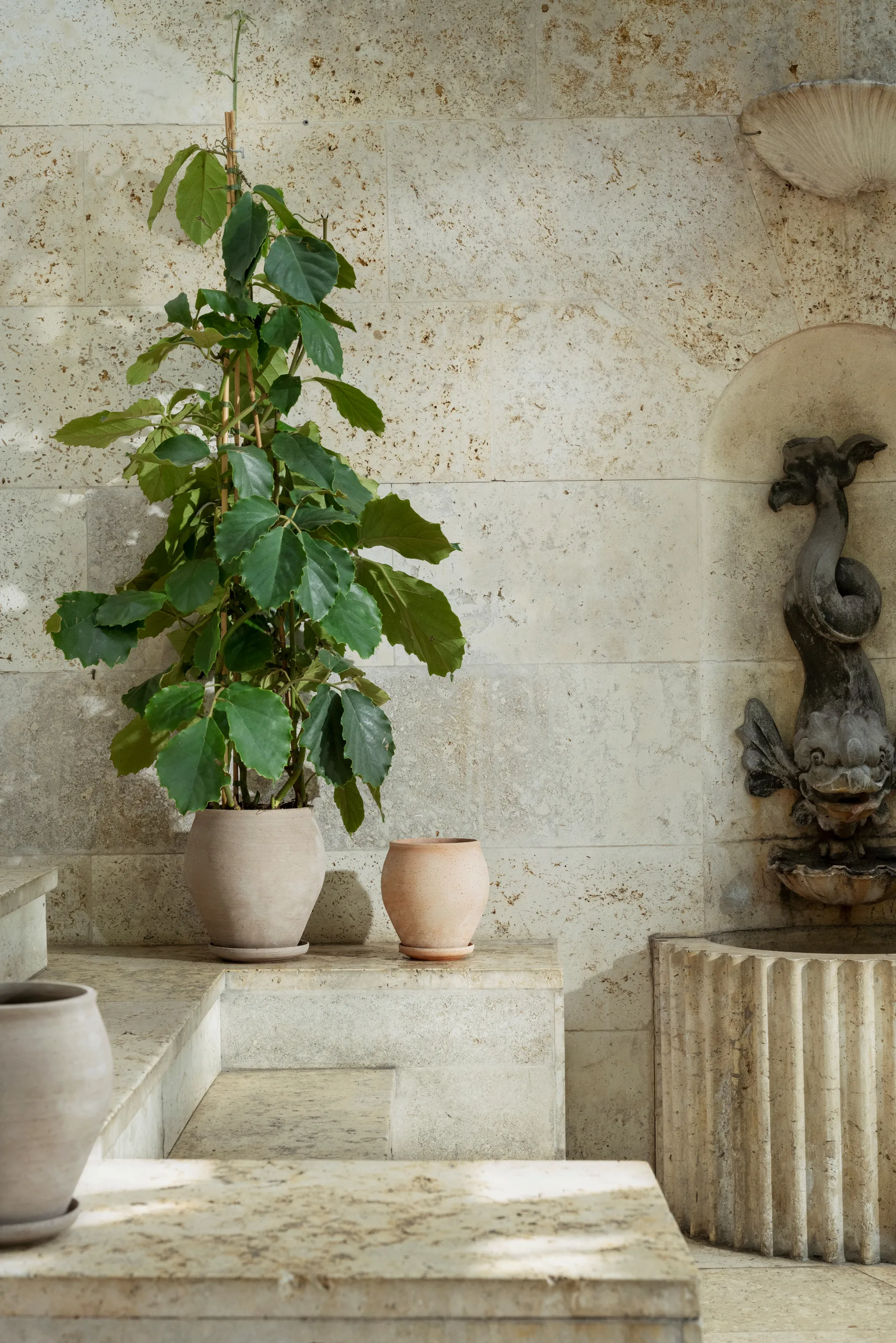 Delphi Topf mit Untersetzer 2-teilig, Grey, Ø22 cm, hoch Bergs Potter