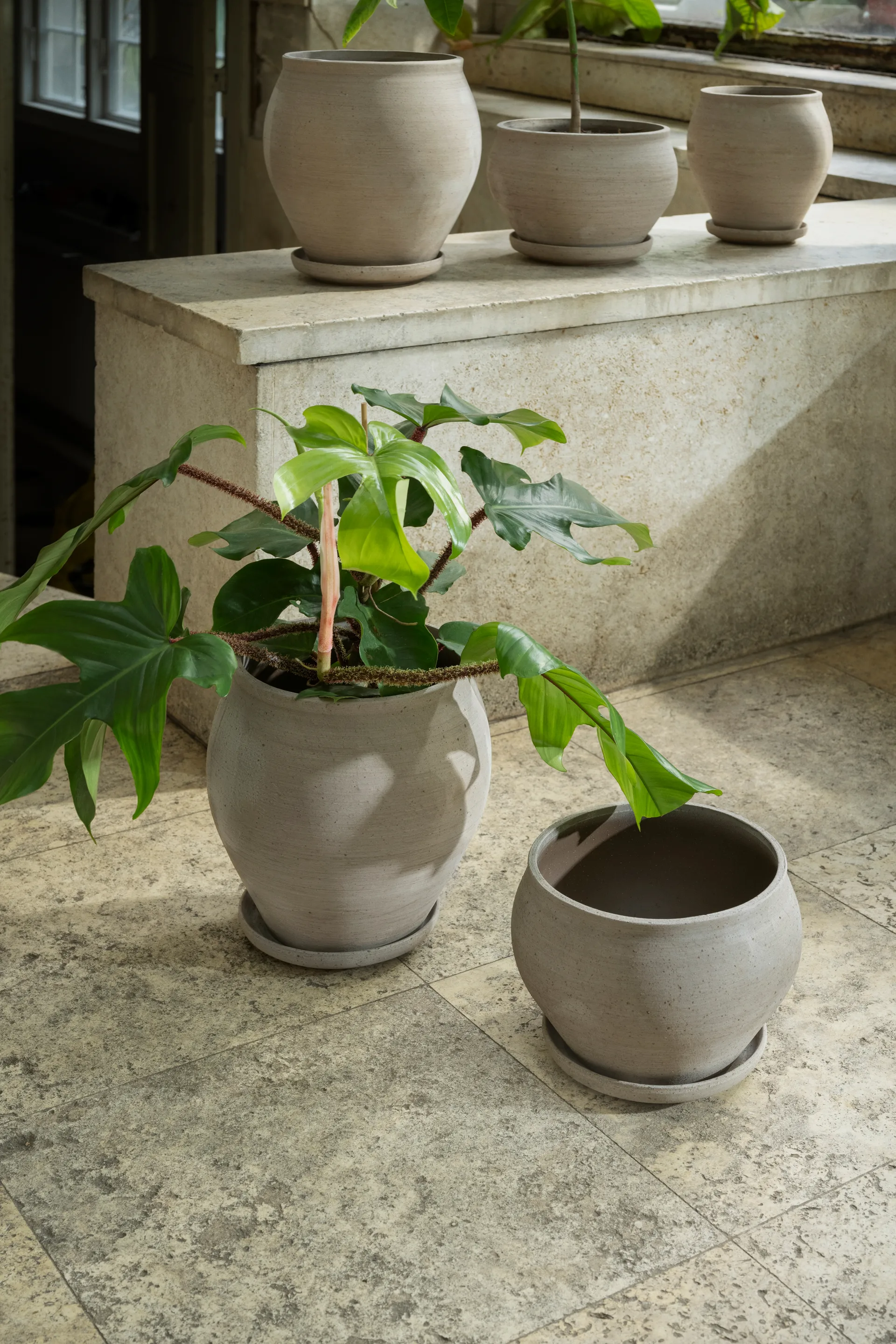 Delphi Topf mit Untersetzer 2-teilig, Grey, Ø24 cm, niedrig Bergs Potter