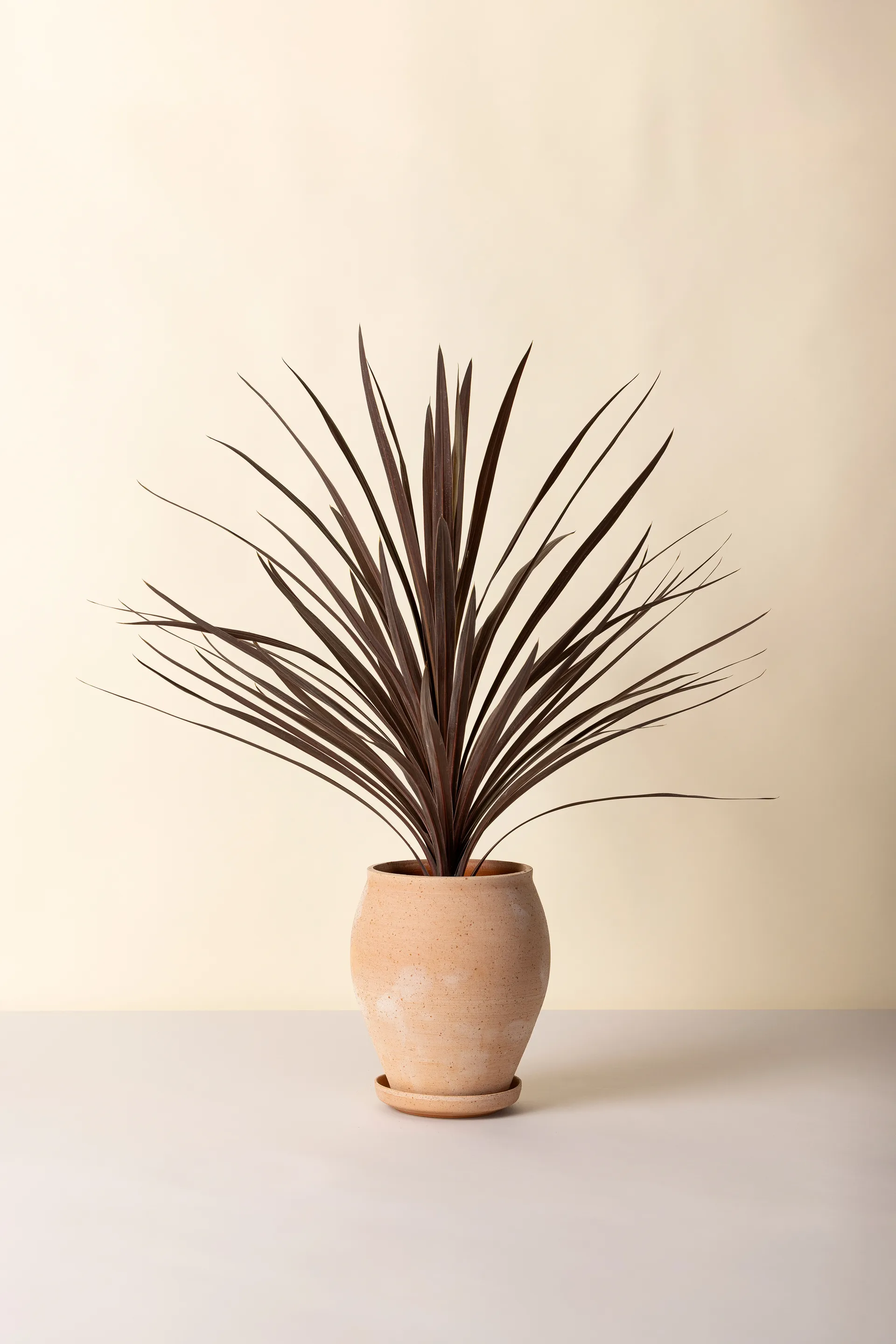 Delphi Topf mit Untersetzer 2-teilig, Rosa, Ø22 cm, hoch Bergs Potter