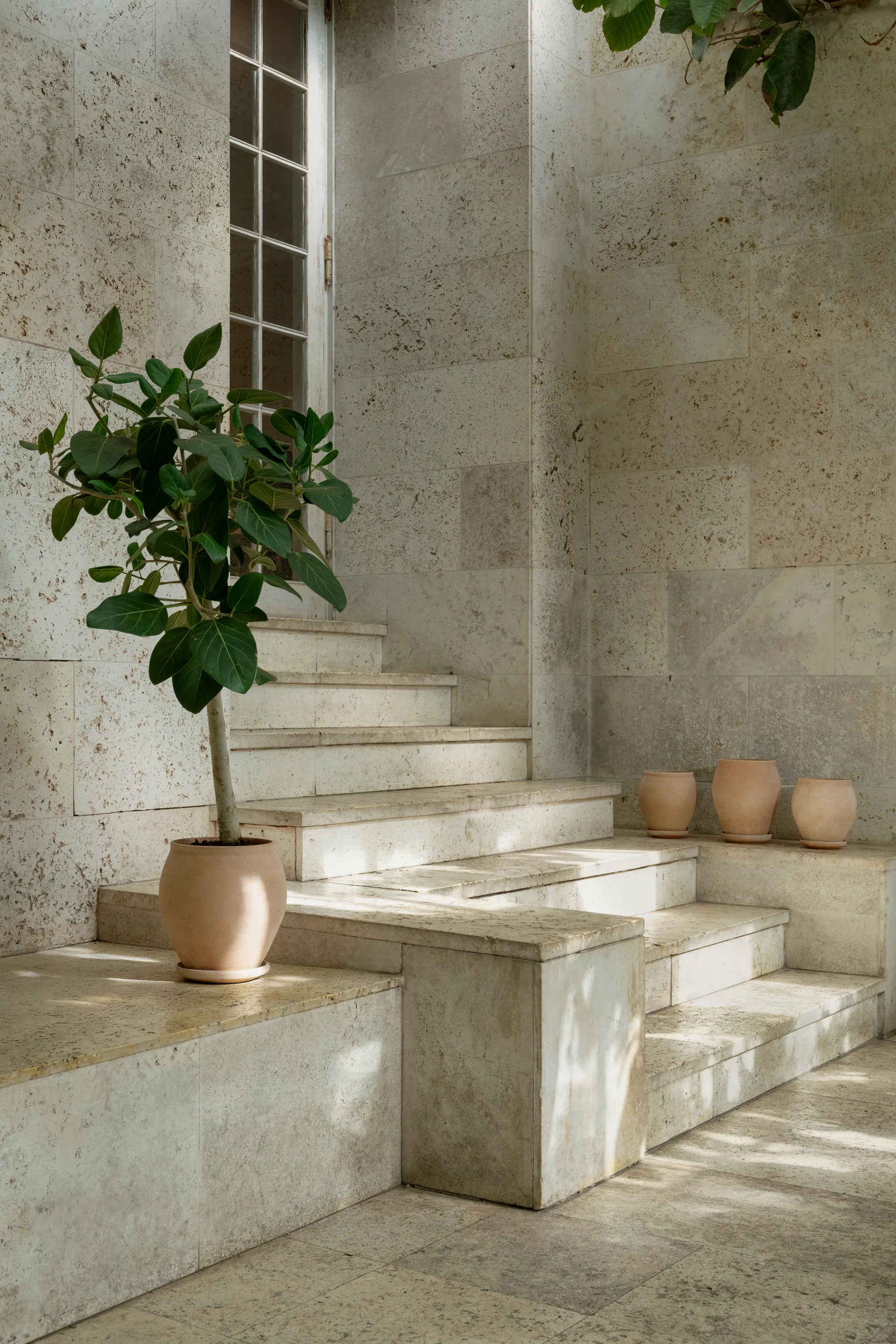 Delphi Topf mit Untersetzer 2-teilig, Rosa, Ø26 cm Bergs Potter