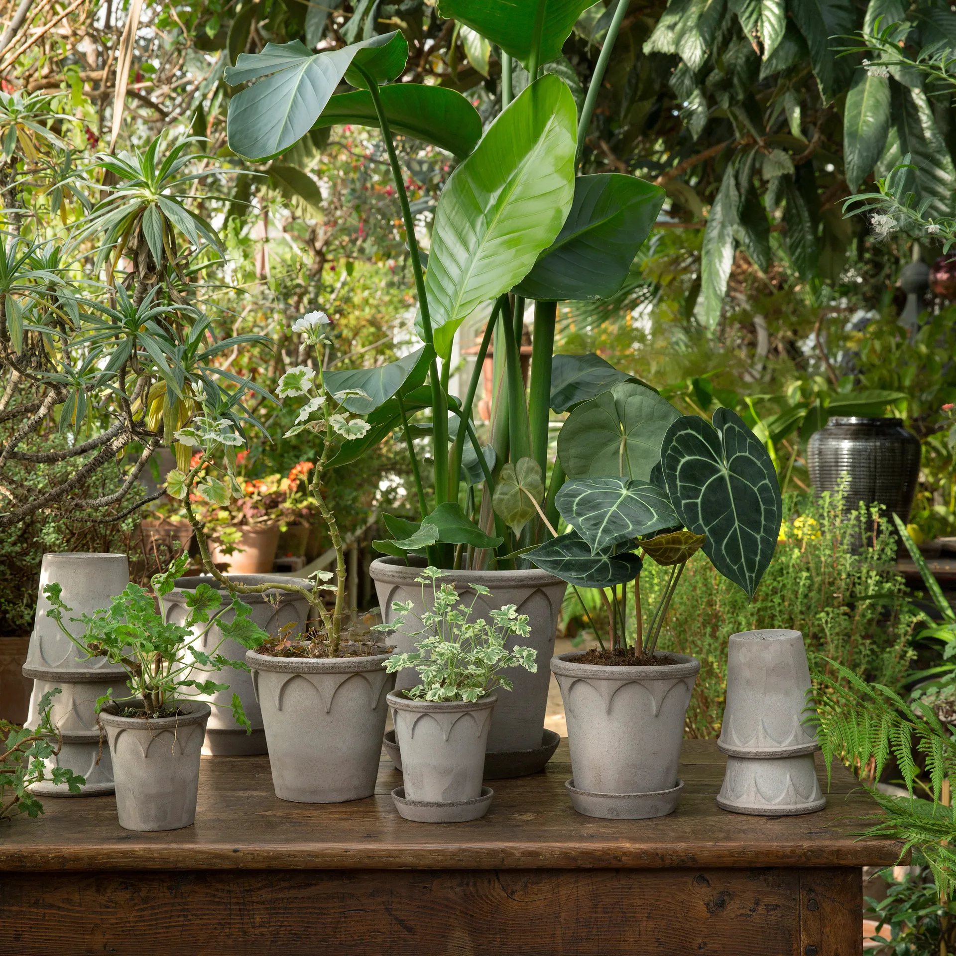 Elizabeth Blumentopf Ø16cm, Grey Bergs Potter