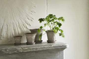 Fleur Übertopf mit Untersetzer 2-teilig - Grey, Ø12 cm - Bergs Potter