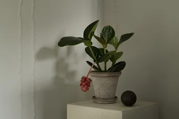 Fleur Übertopf mit Untersetzer 2-teilig - Grey, Ø18 cm - Bergs Potter