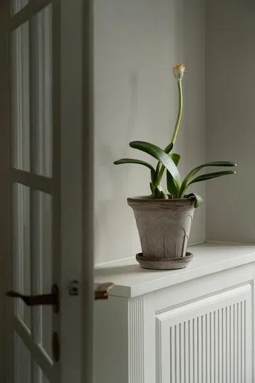 Fleur Übertopf mit Untersetzer 2-teilig - Grey, Ø18 cm - Bergs Potter