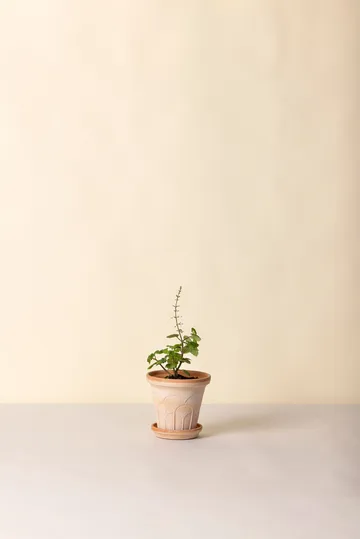 Fleur Übertopf mit Untersetzer 2-teilig - Rosa, Ø14 m - Bergs Potter