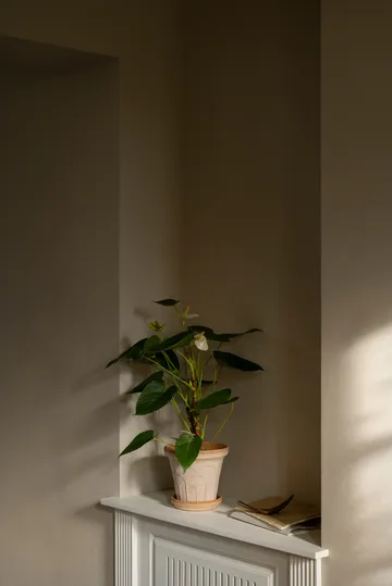 Fleur Übertopf mit Untersetzer 2-teilig - Rosa, Ø16 cm - Bergs Potter