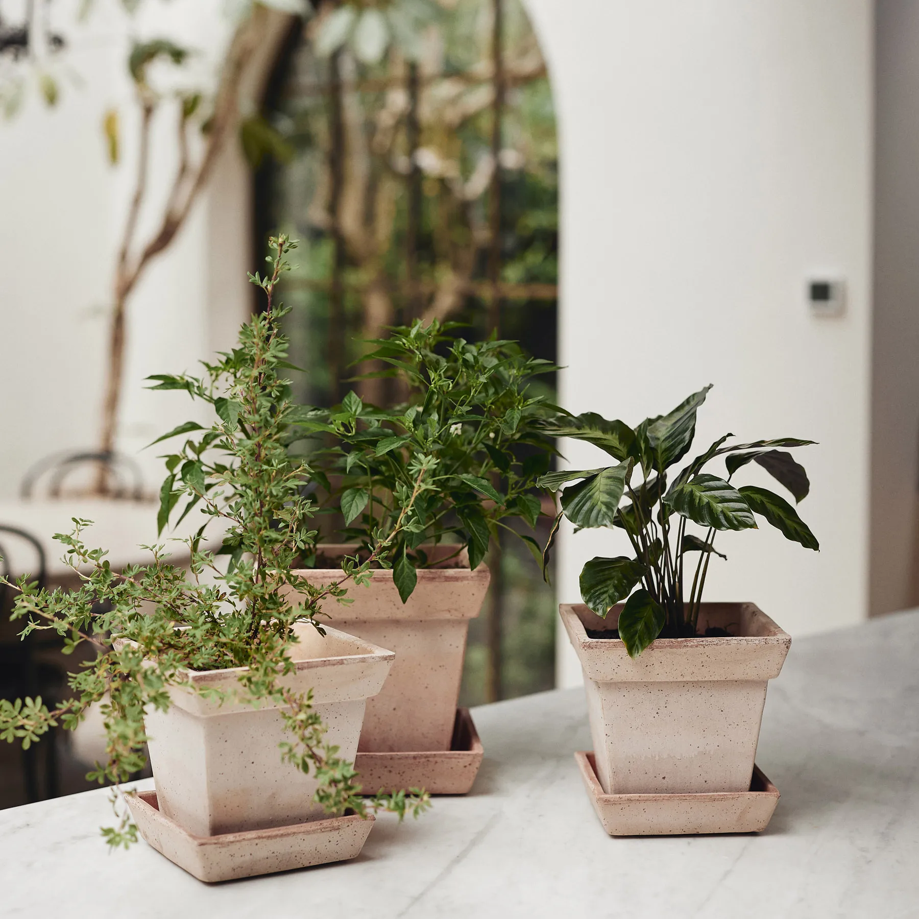 Gaia raw Blumentopf, Rosa, 21x21 cm Bergs Potter