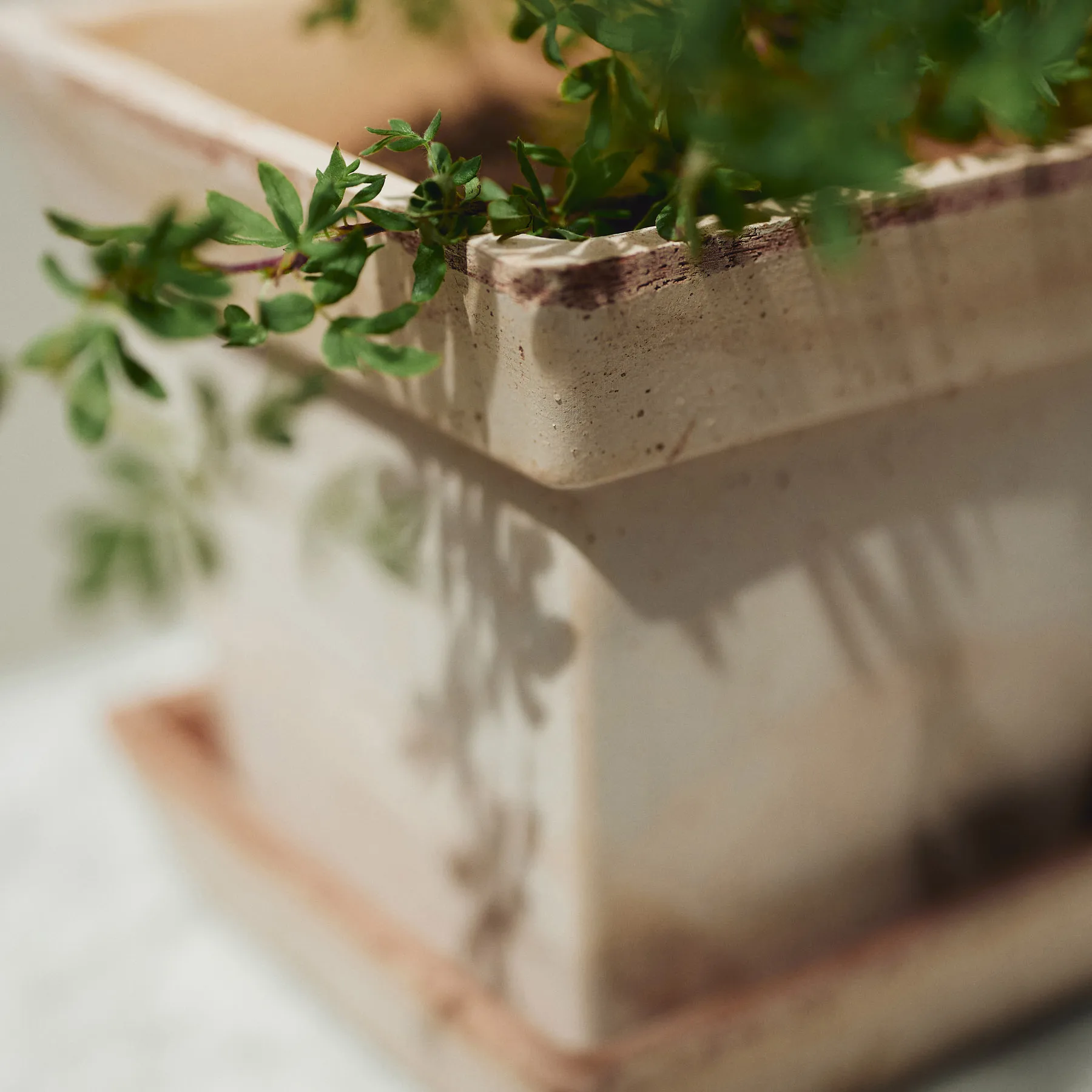 Gaia raw Blumentopf, Rosa, 21x21 cm Bergs Potter