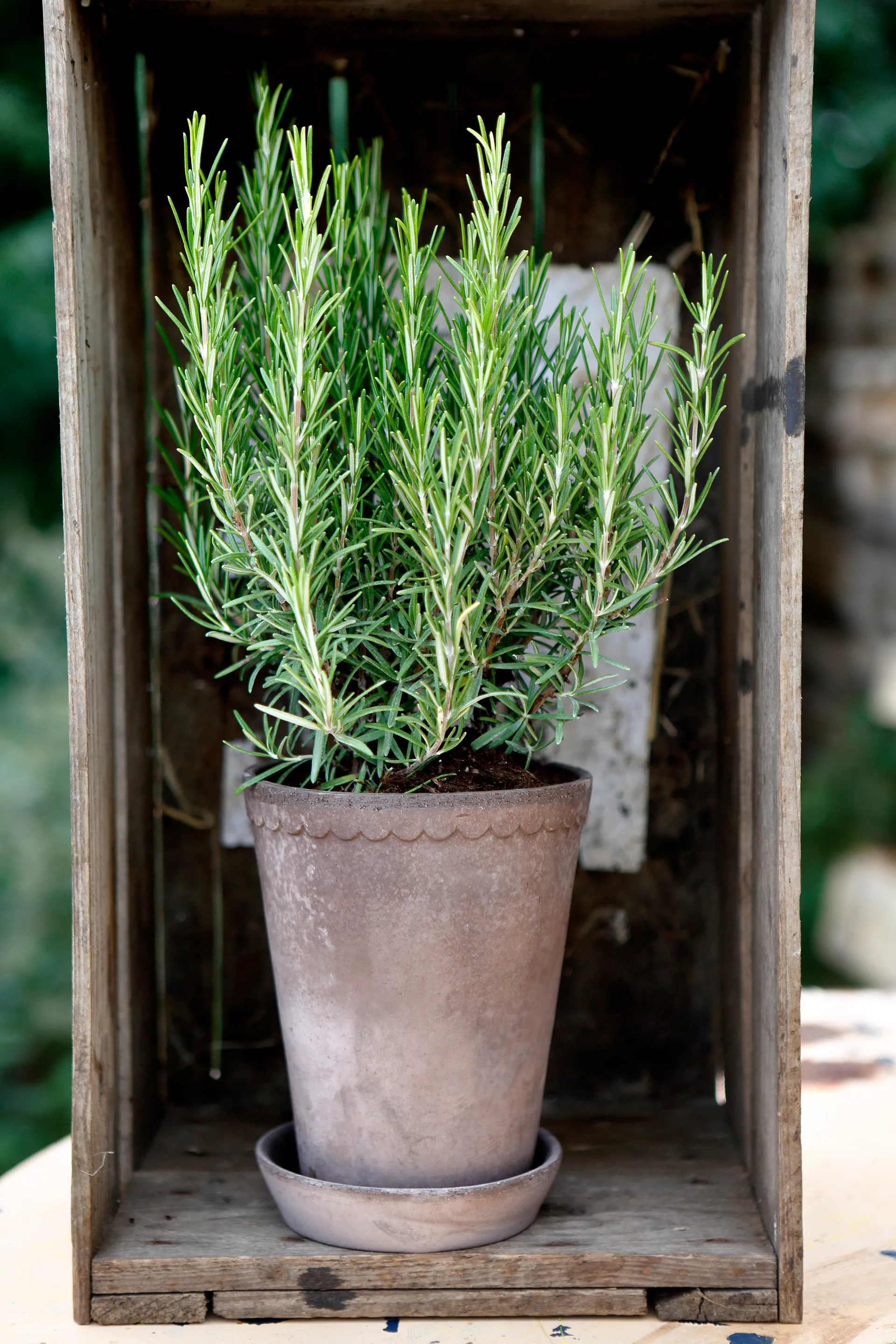 Helena Blumentopf hoch Ø14cm, Grau Bergs Potter