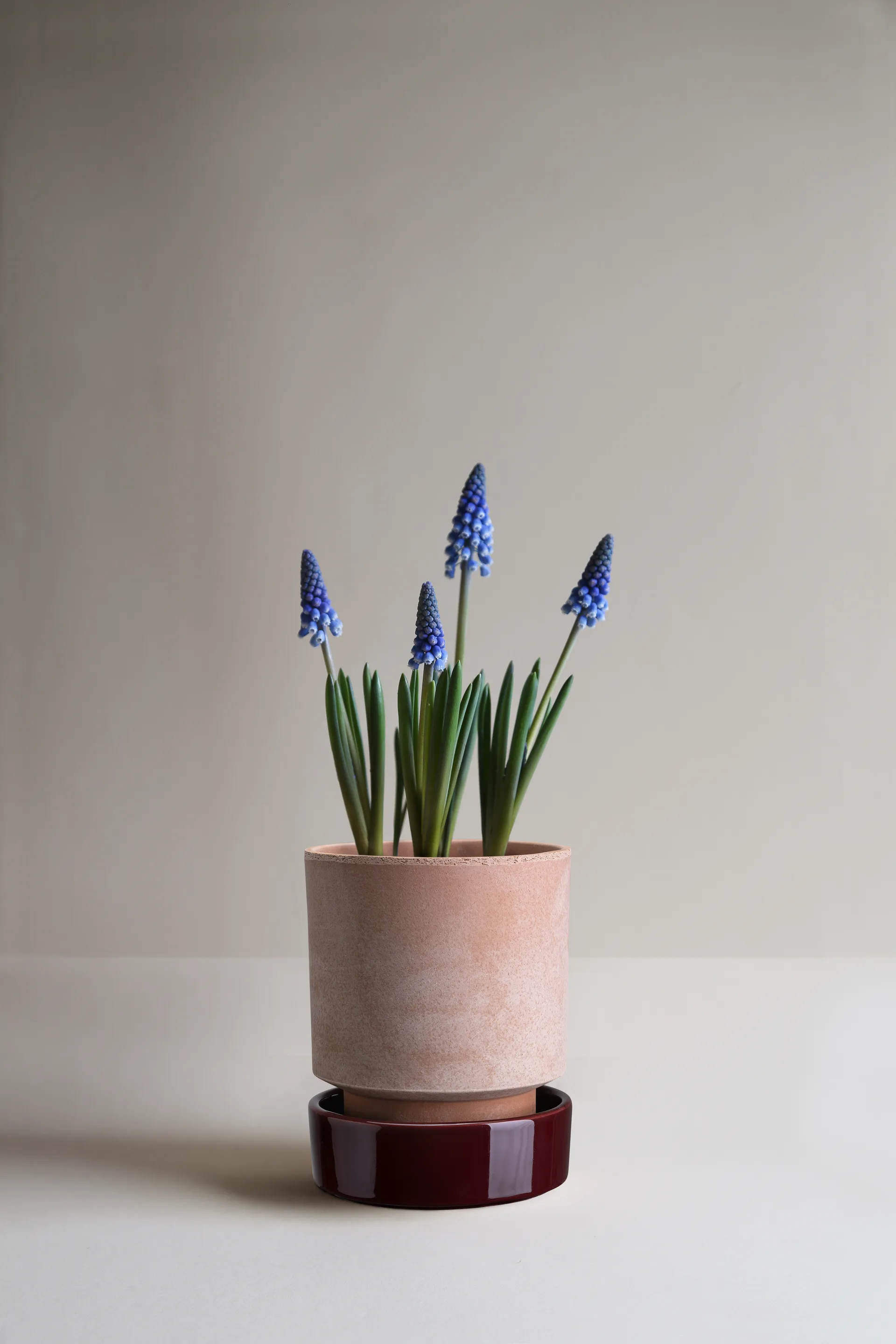 Hoff Blumentopf, Ø14 cm, Raw Rosa-Deep Burgundy (rosa-rot) Bergs Potter