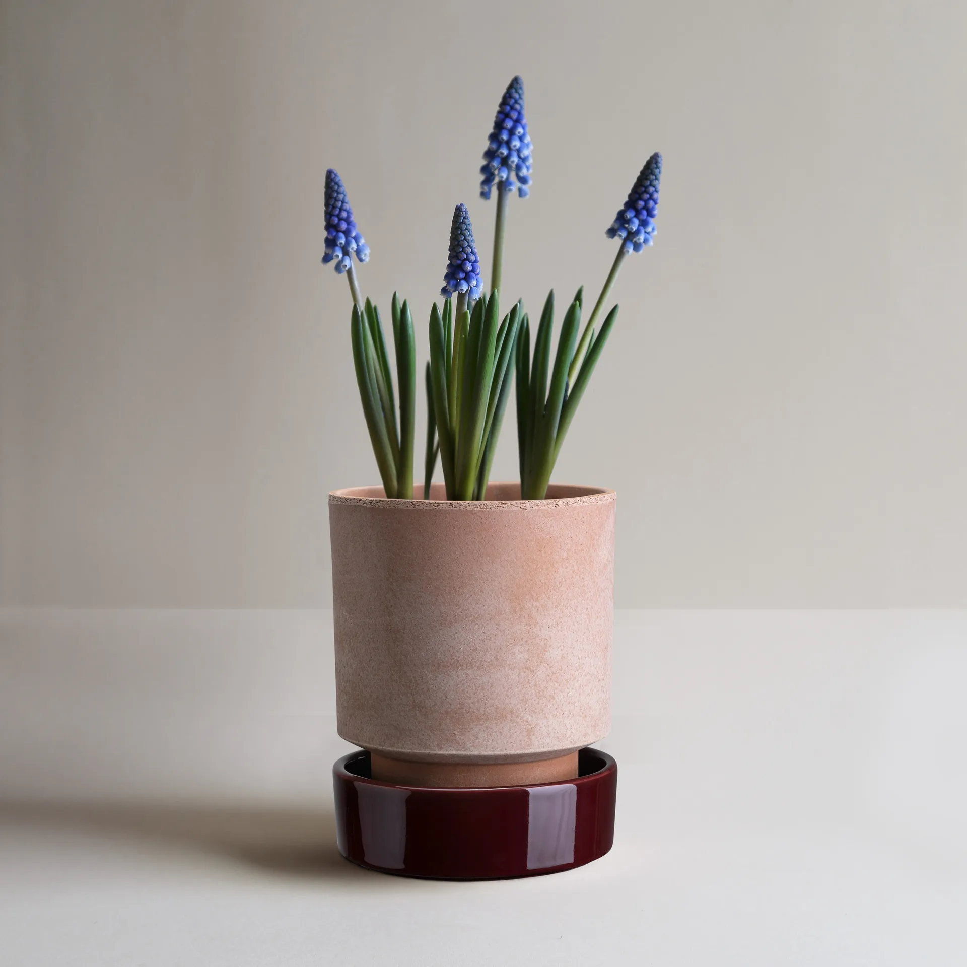 Hoff Blumentopf, Ø16 cm, Raw Rosa-Deep Burgundy  (rosa-rot) Bergs Potter