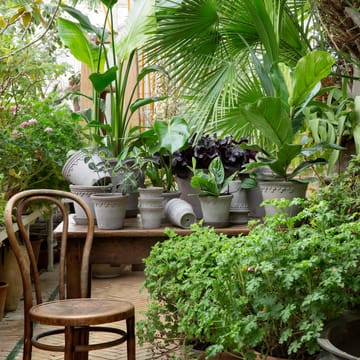 Københavner Blumentopf Ø12cm - Grau - Bergs Potter