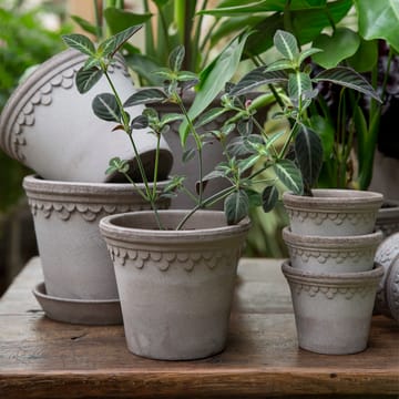 Københavner Blumentopf Ø14cm - Grau - Bergs Potter