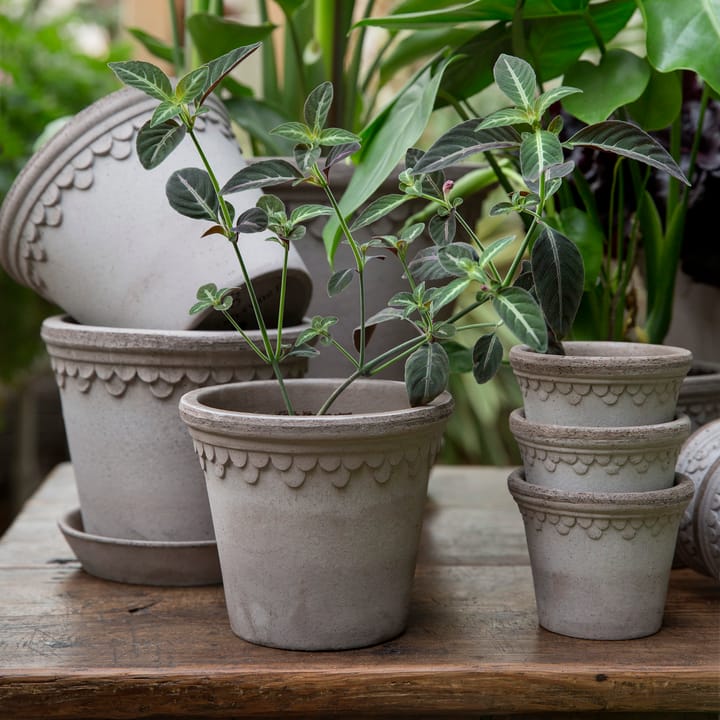 Københavner Blumentopf Ø14cm, Grau Bergs Potter