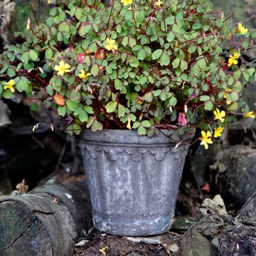 Københavner Blumentopf Ø16cm - Grau - Bergs Potter