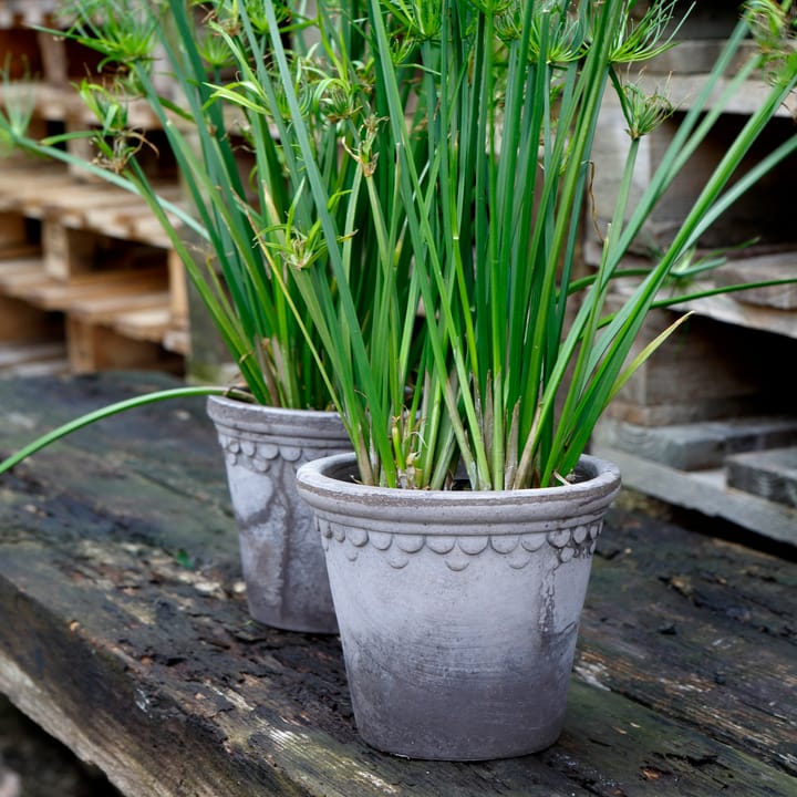 Københavner Blumentopf Ø18cm, Grau Bergs Potter