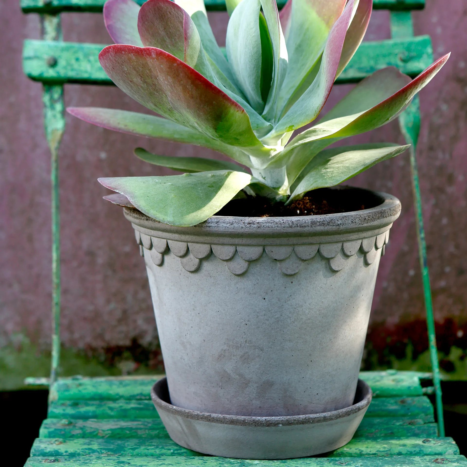 Københavner Blumentopf 21cm, Grau Bergs Potter