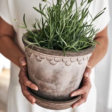 Københavner Blumentopf 21cm - Grau - Bergs Potter