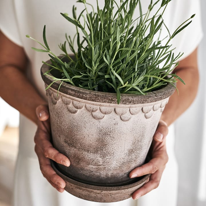 Københavner Blumentopf 21cm, Grau Bergs Potter