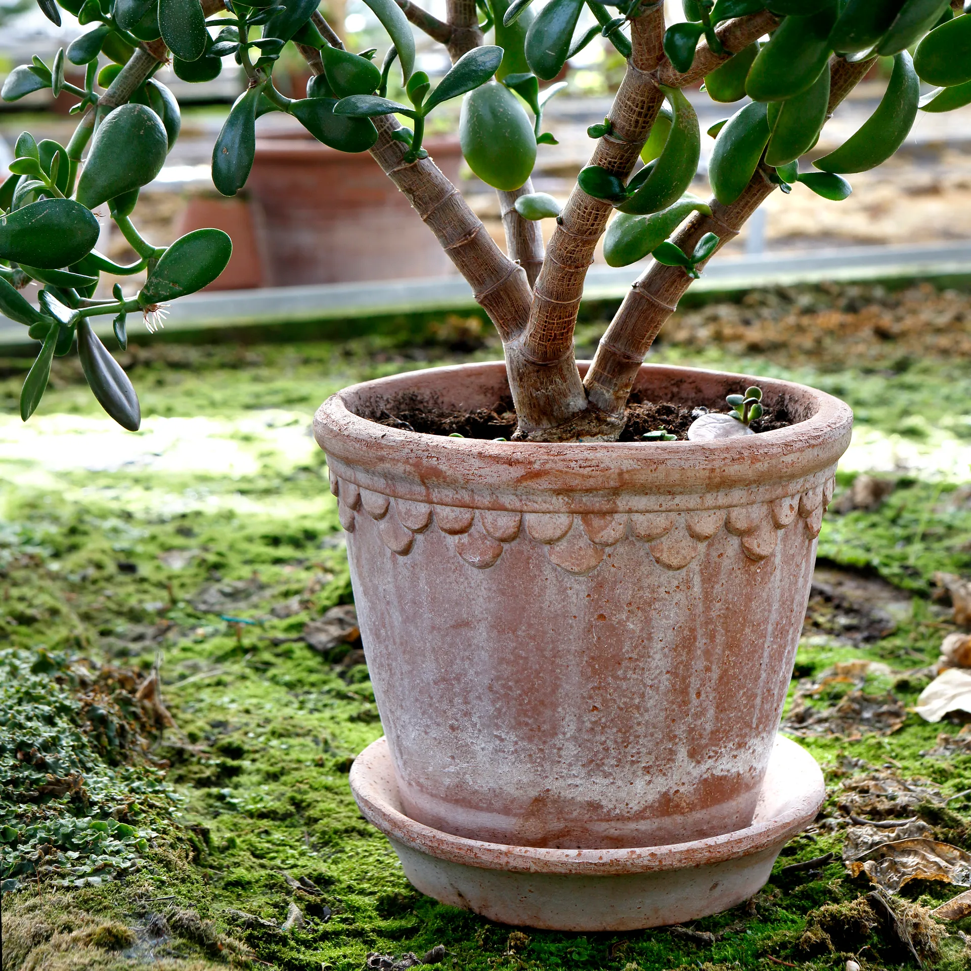 Københavner Blumentopf 21cm, Rosa Bergs Potter