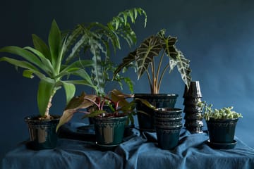 Københavner Blumentopf glasiert Ø12cm - Blau - Bergs Potter