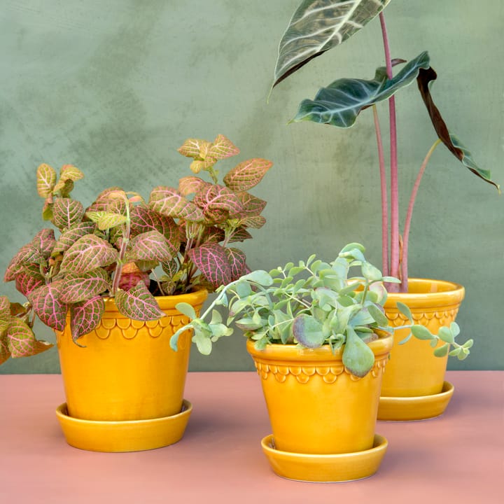 Københavner Blumentopf glasiert Ø18cm, Gelb Bergs Potter
