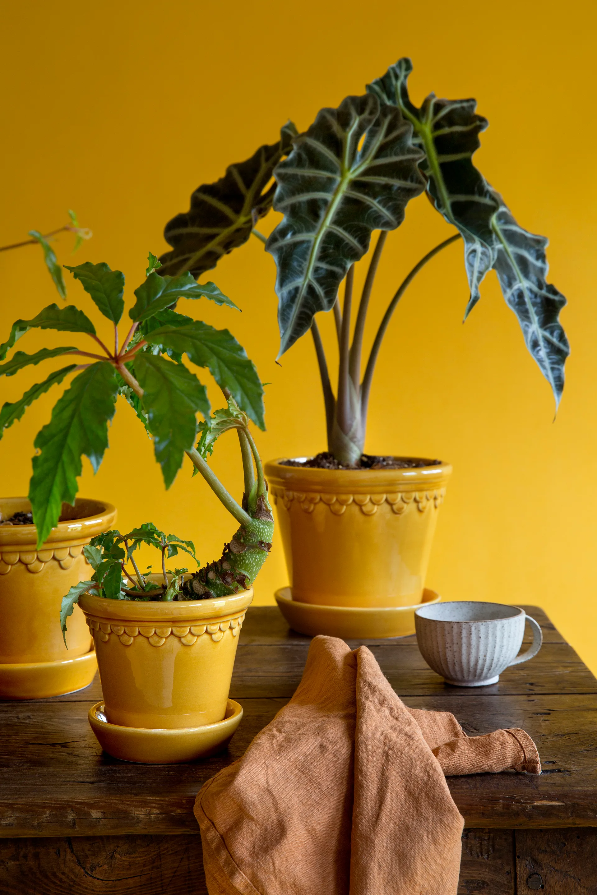 Københavner Blumentopf glasiert Ø18cm, Gelb Bergs Potter