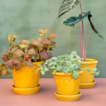 Københavner Blumentopf glasiert - Gelb, Ø18 cm - Bergs Potter