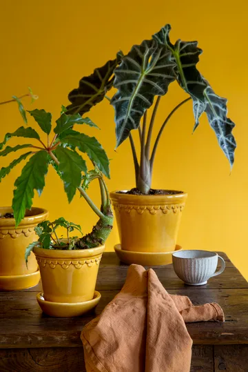 Københavner Blumentopf glasiert - Gelb, Ø18 cm - Bergs Potter