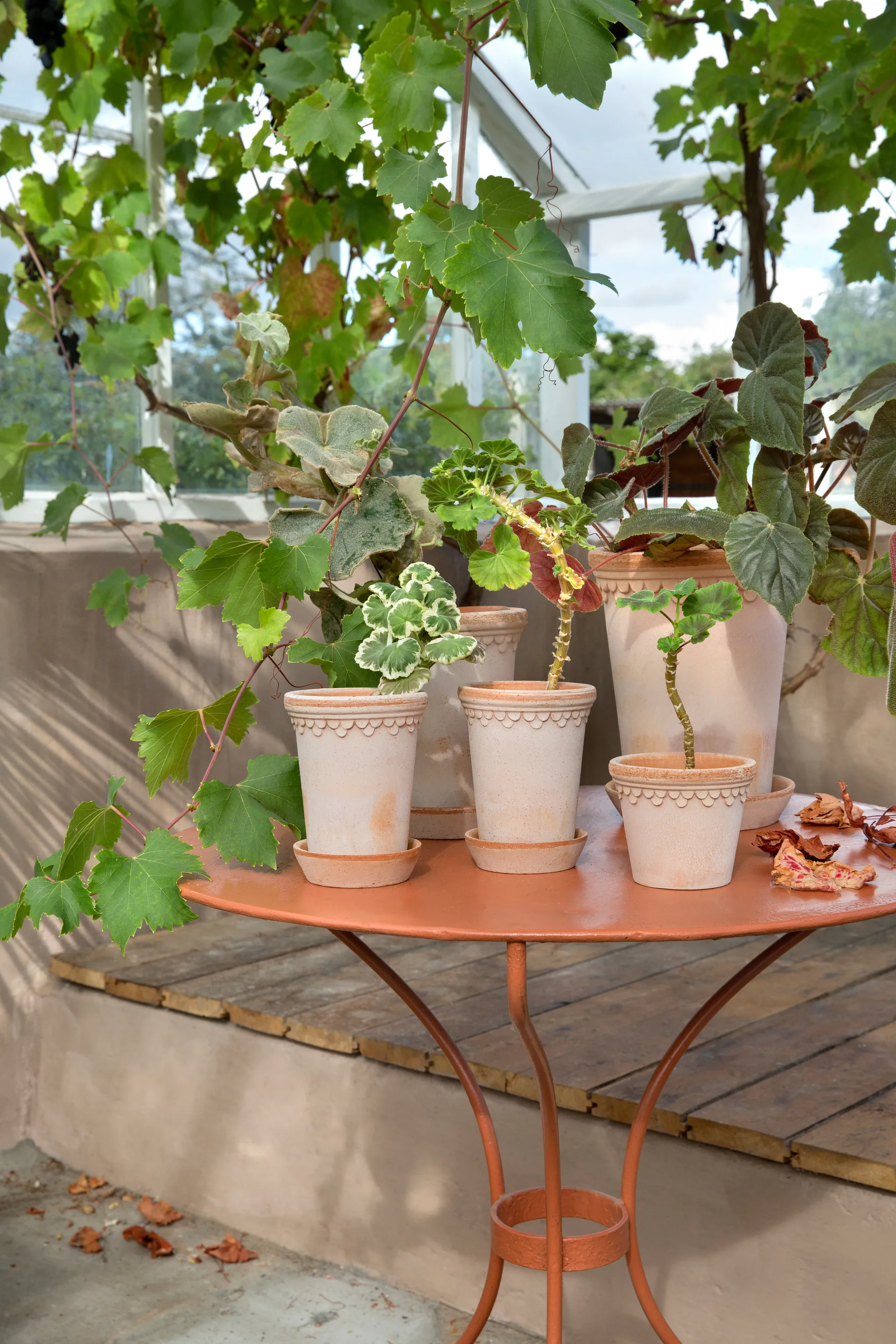 Københavner Blumentopf hoch Ø10cm, Rosa Bergs Potter