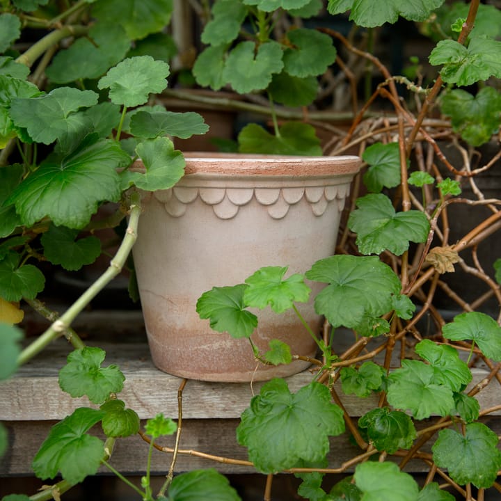 Kopenhagen Blumentopf Ø16cm - Rosa - Bergs Potter