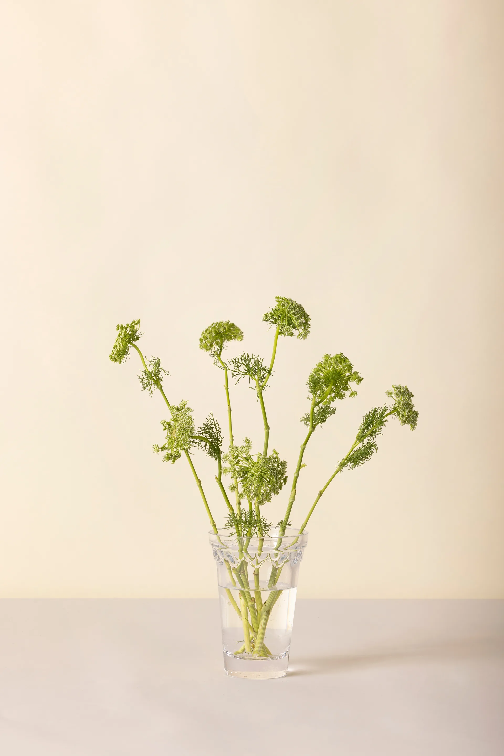 Kopenhagen Vase, Klar, 18,5 cm Bergs Potter