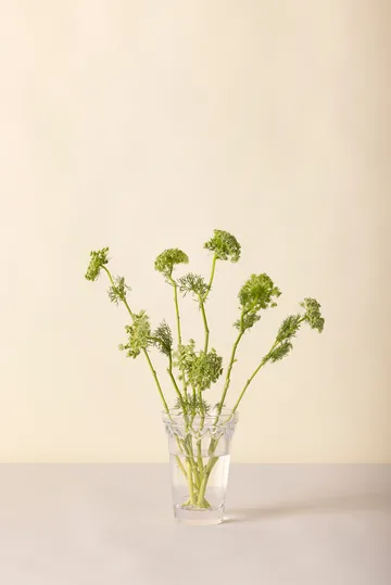 Kopenhagen Vase - Klar, 18,5 cm - Bergs Potter